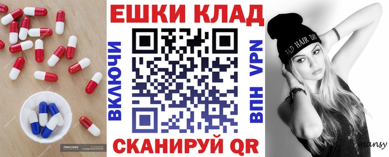 Ecstasy Punisher  как найти наркотики  Темников 
