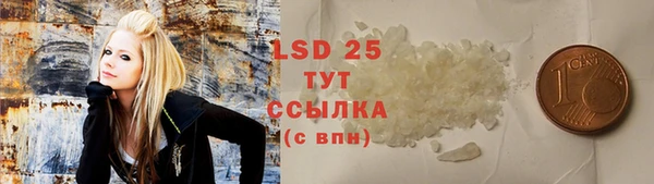 apvp Алексин