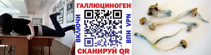 как найти закладки  Темников  Галлюциногенные грибы мухоморы 